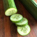 English Cucumber - Hardies Direct, Austin TX