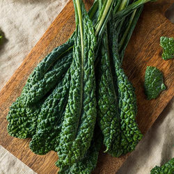 Locally Grown Lacinato Kale - Hardies Direct, Austin TX