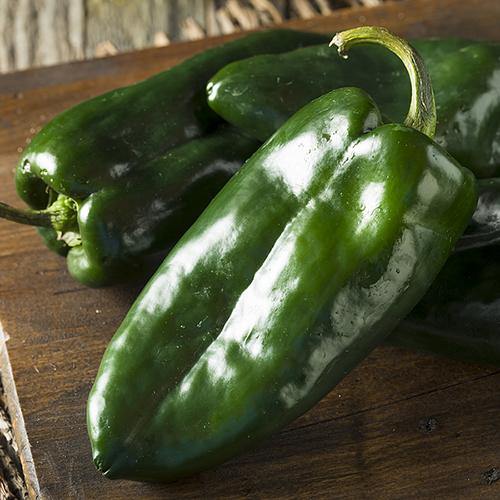 Fresh Poblano Peppers - Hardie's Direct, Austin TX