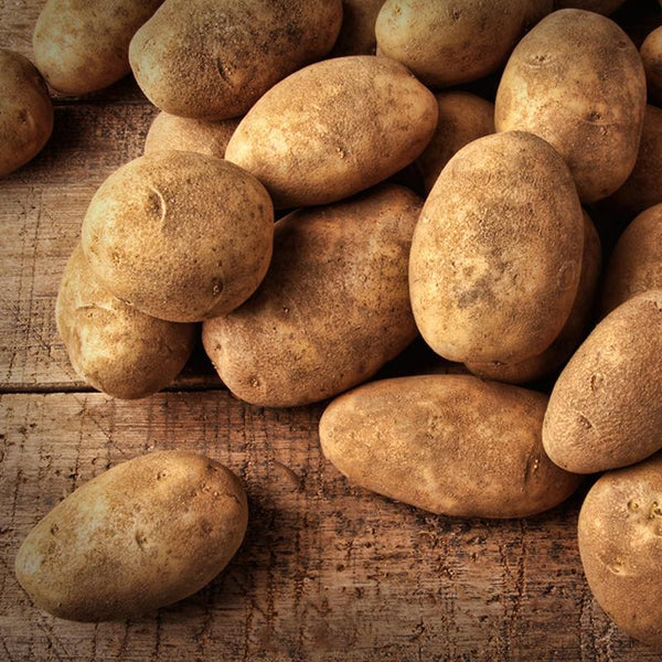 Potatoes, Russet 5 lbs - Hardie's Direct Austin, TX
