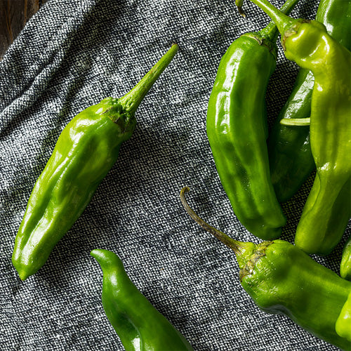 Shishito Peppers - Hardie's Direct, Austin TX